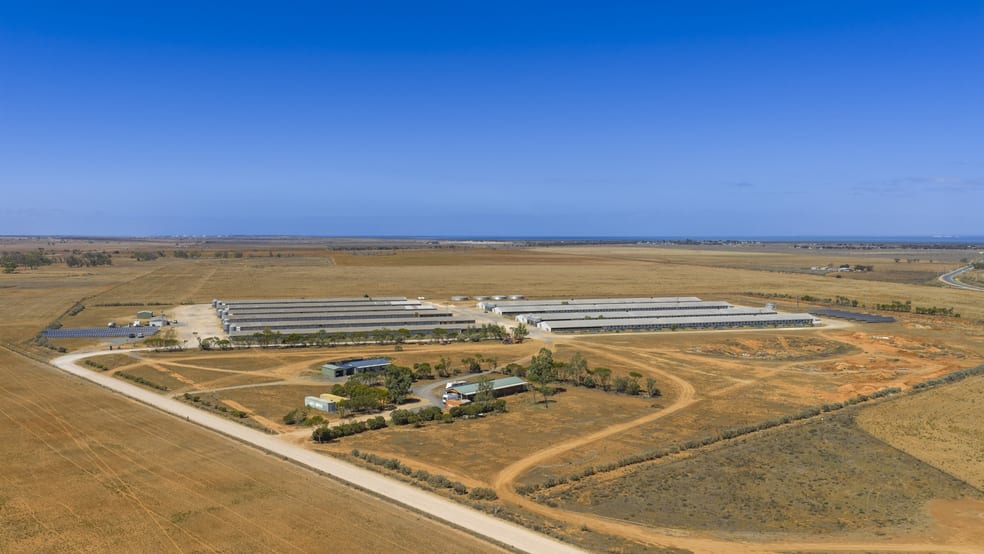 18 Pareora Road Port Wakefield SA 5550 - Image 2
