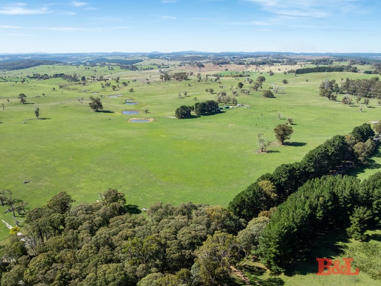 Click to view all images 170 Dog Rocks Road Black Springs NSW 2787 - Image 3