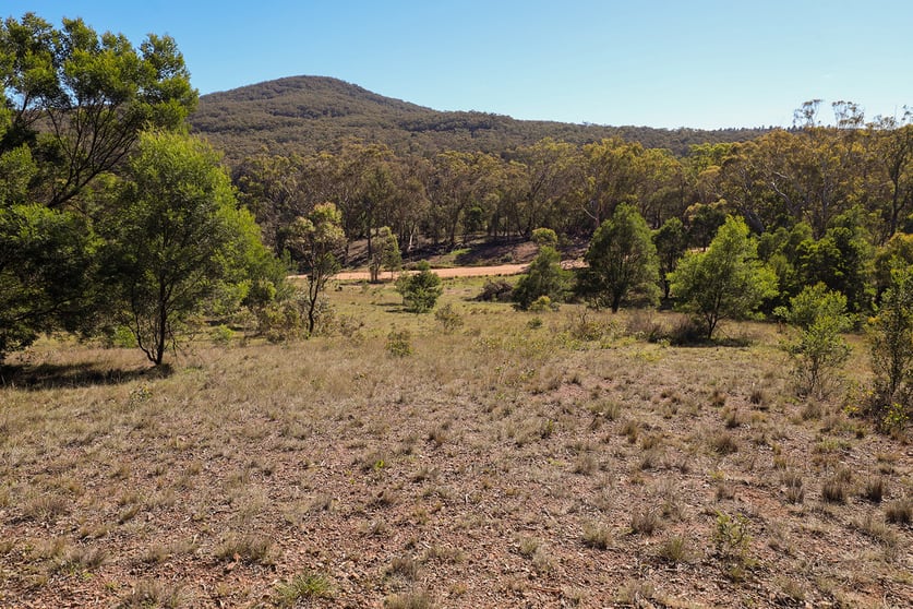 Click to view all images 937 Boro Road Boro NSW 2622 - Image 3