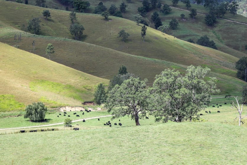 5361 Armidale Road Kempsey NSW 2440 - Image 2