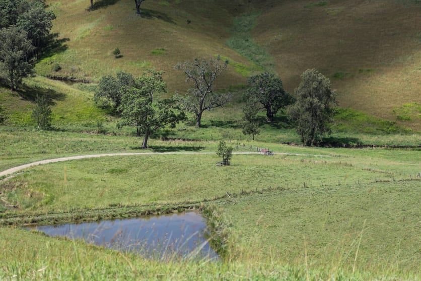 5361 Armidale Road Kempsey NSW 2440 - Image 3