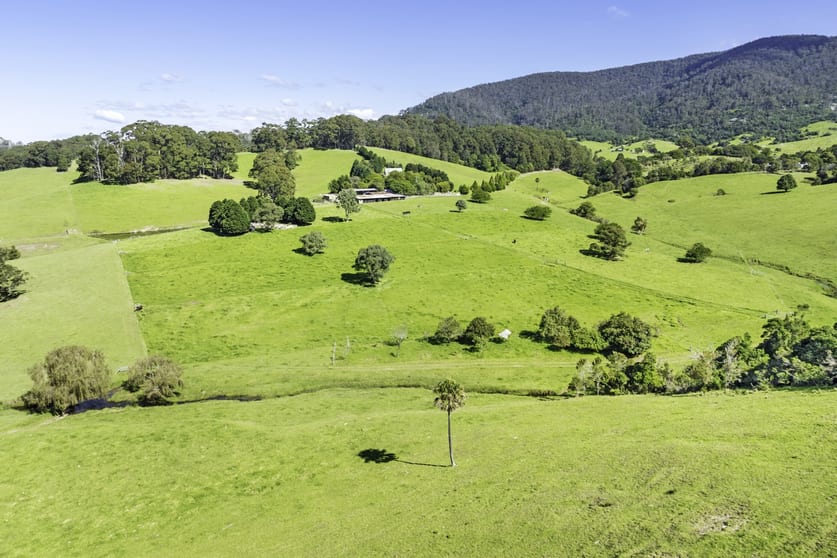 Click to view all images 182 Punkalla-Tilba Road Central Tilba NSW 2546 - Image 2