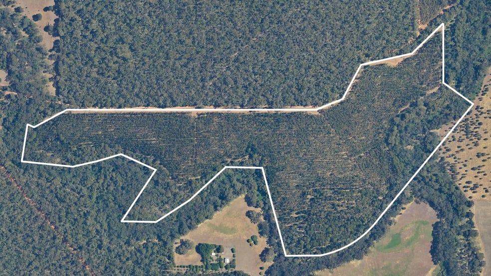 Lot 1 Kim Road (Dingup) Manjimup WA 6258 - Image 3