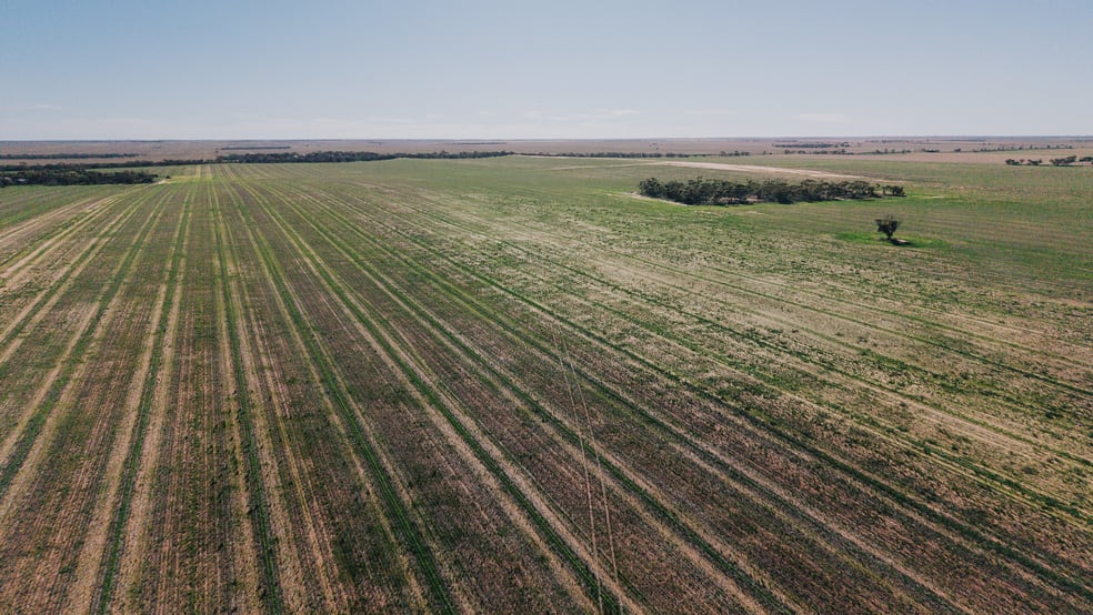 Stirlings Loxton SA 5333 - Image 2