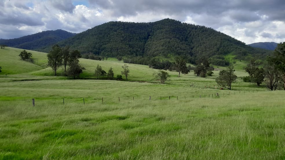 Smiths Creek Station (Block 1) Kempsey NSW 2440 - Image 3