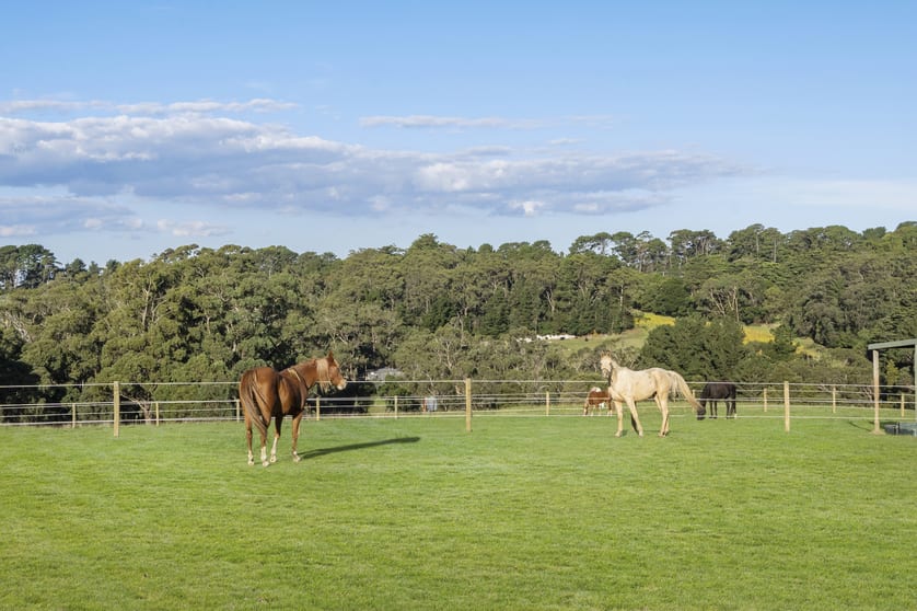 Click to view all images 227 Main Creek Road Main Ridge VIC 3928 - Image 1