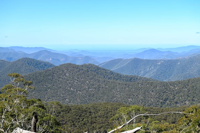 Click to view all images "Tozers" Lot 96 Kybeyan Road Kybeyan NSW 2631 - Image 1