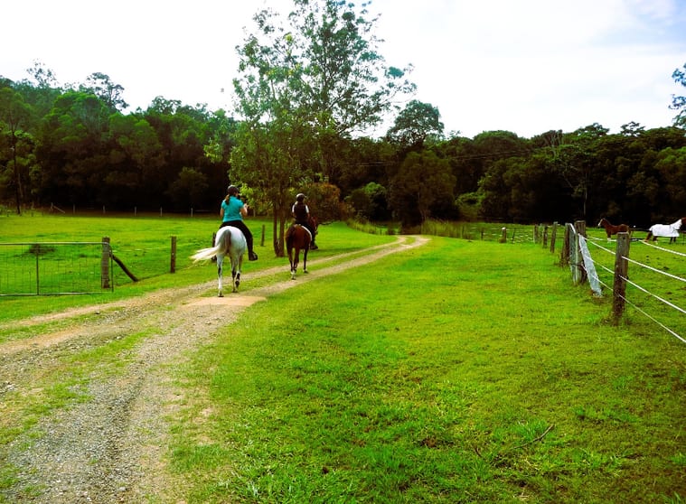 Click to view all images Cooran QLD 4569 - Image 3