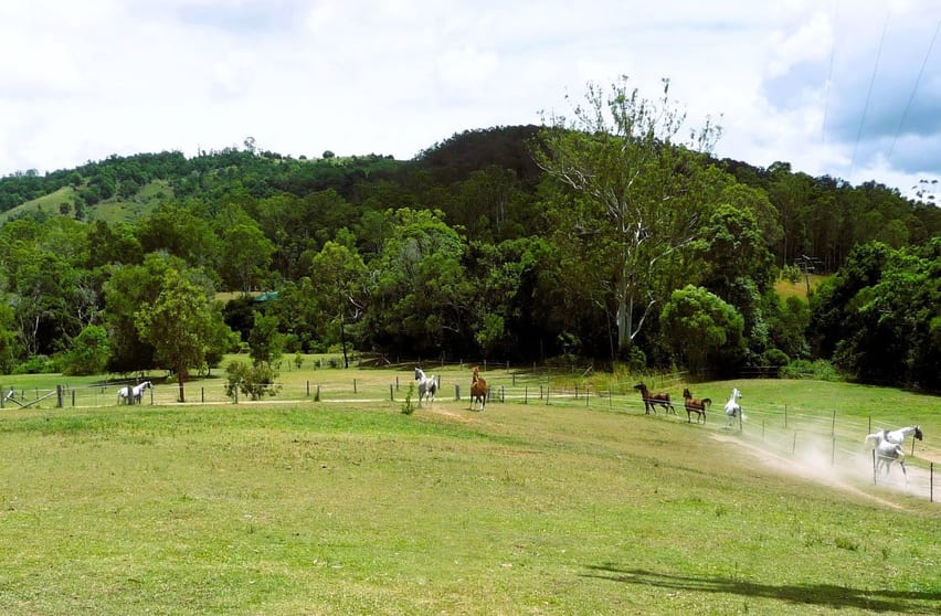 Click to view all images Cooran QLD 4569 - Image 1