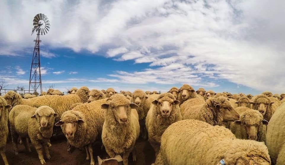 Click to view all images 'Jumbuck Pastoral Aggregation' via Stuart Highway Kingoonya SA 5719 - Image 2