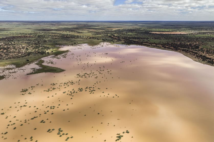 Click to view all images 'Jumbuck Pastoral Aggregation' via Stuart Highway Kingoonya SA 5719 - Image 3