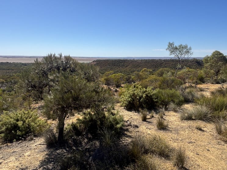 Click to view all images 3659 Geraldton Mount Magnet Road Wicherina WA 6532 - Image 1