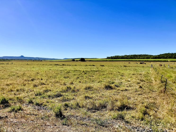 Cone Creek Road Koumala QLD 4738 - Image 1