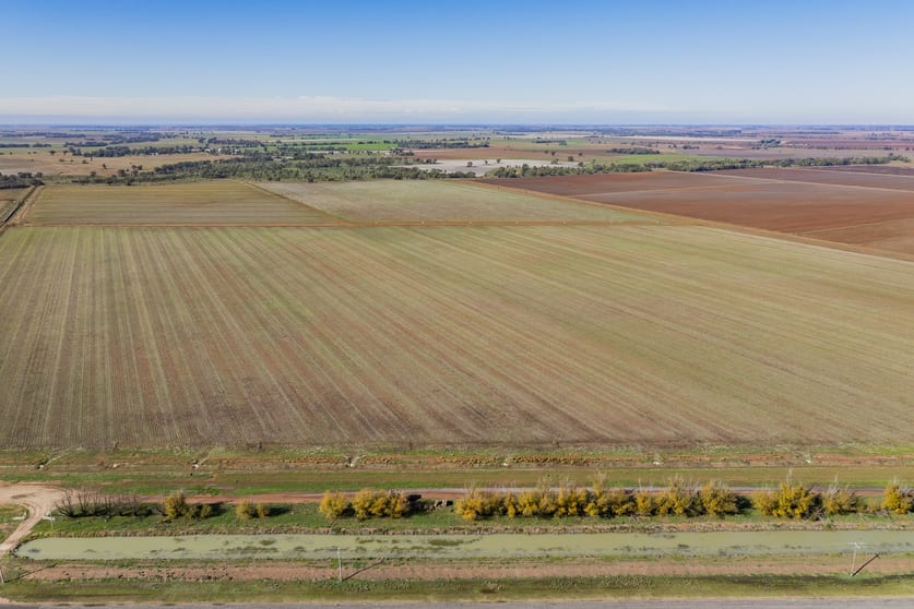 762 Channel Nine Road Coleambally NSW 2707 - Image 1