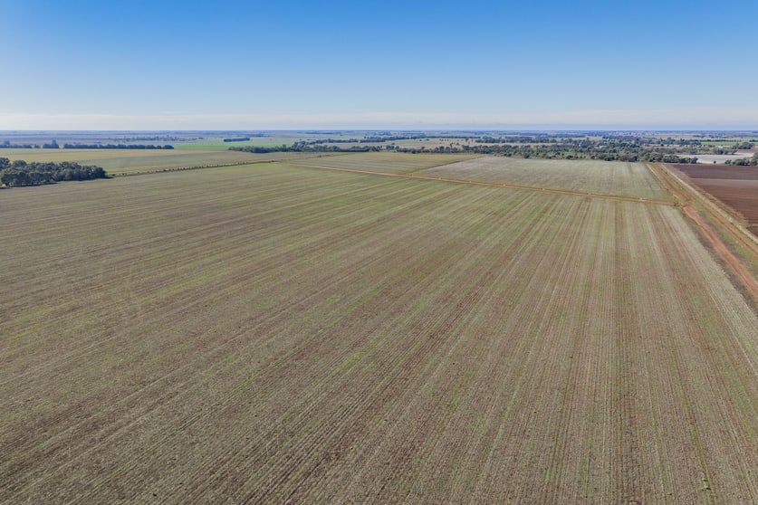 762 Channel Nine Road Coleambally NSW 2707 - Image 2