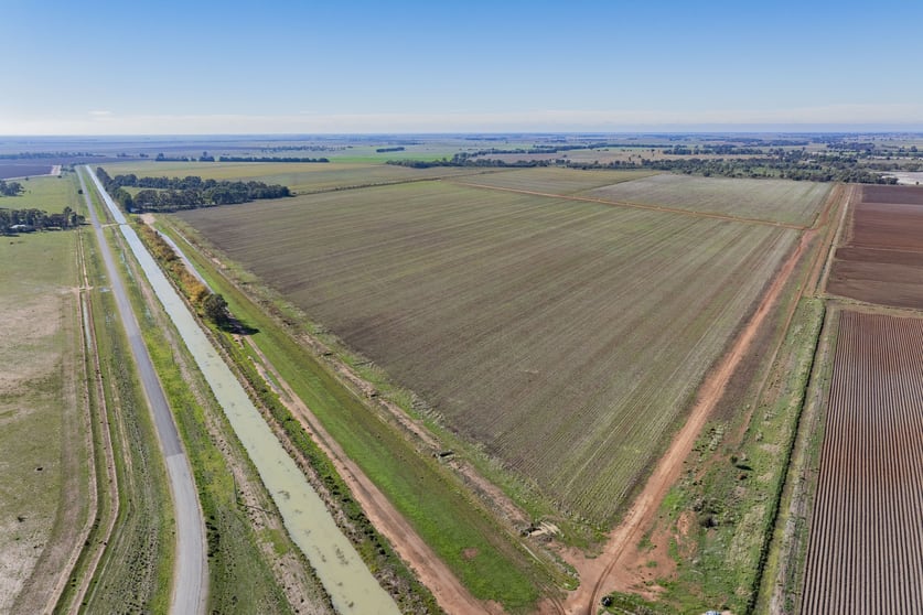 762 Channel Nine Road Coleambally NSW 2707 - Image 3