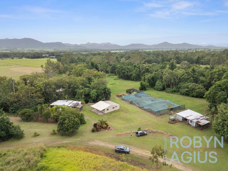 Click to view all images 4869 Mackay Eungella Finch Hatton QLD 4756 - Image 2