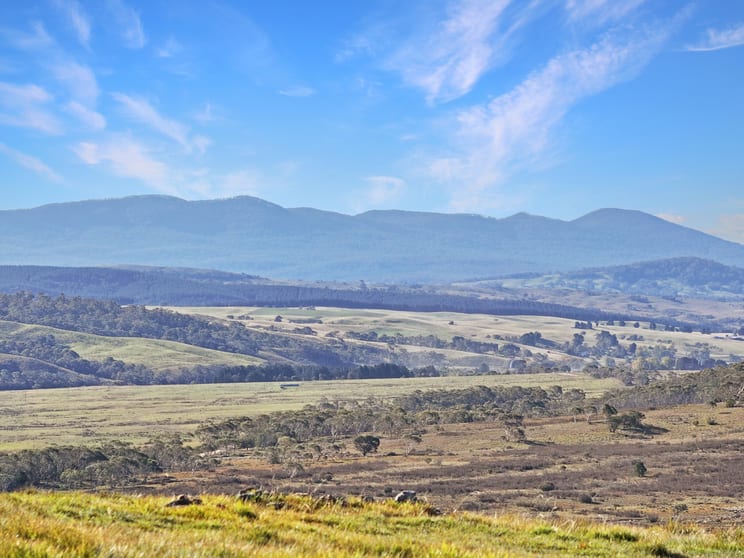 14 Harts Road Braidwood NSW 2622 - Image 1