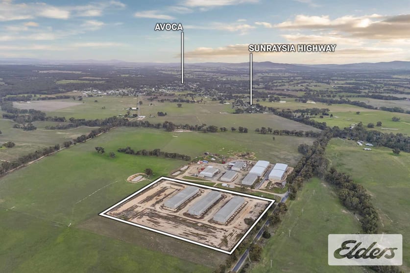 102 Avoca - Bealiba Road Avoca VIC 3467 - Image 3