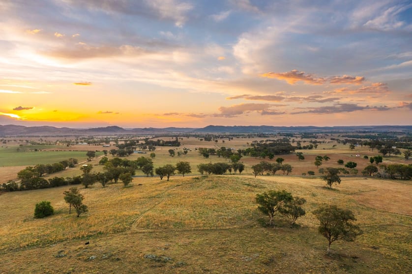 705 Springfield Lane Gulgong NSW 2852 - Image 1