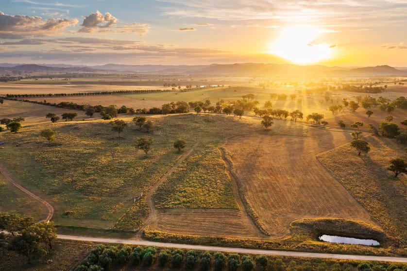 705 Springfield Lane Gulgong NSW 2852 - Image 2