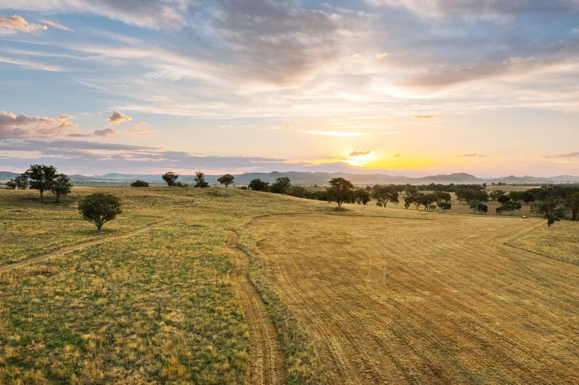 705 Springfield Lane Gulgong NSW 2852 - Image 3
