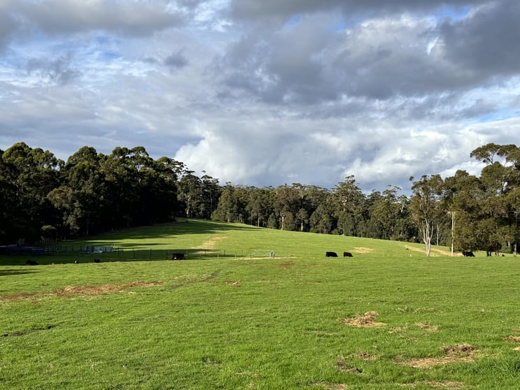 Click to view all images 164 Lane Poole Road (Boorara Brook) Northcliffe WA 6262 - Image 3