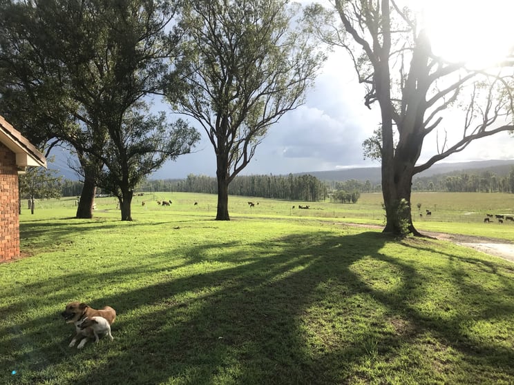 Click to view all images Old Tenterfield Road via Wyan NSW 2469 - Image 1