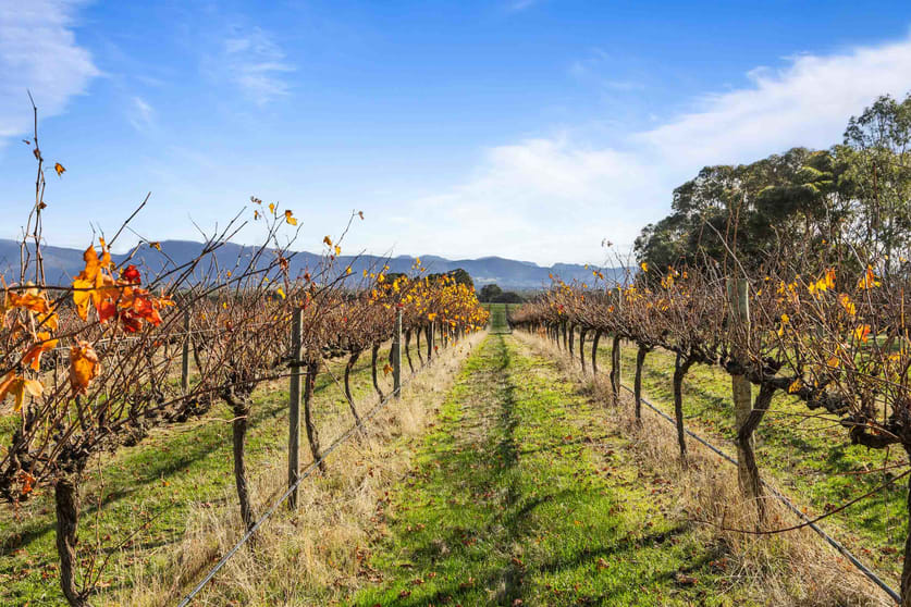 Click to view all images 432 Wallaces Road Moyston VIC 3377 - Image 2