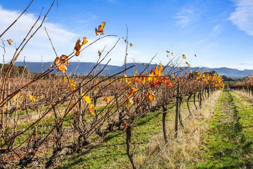 Click to view all images 432 Wallaces Road Moyston VIC 3377 - Image 3