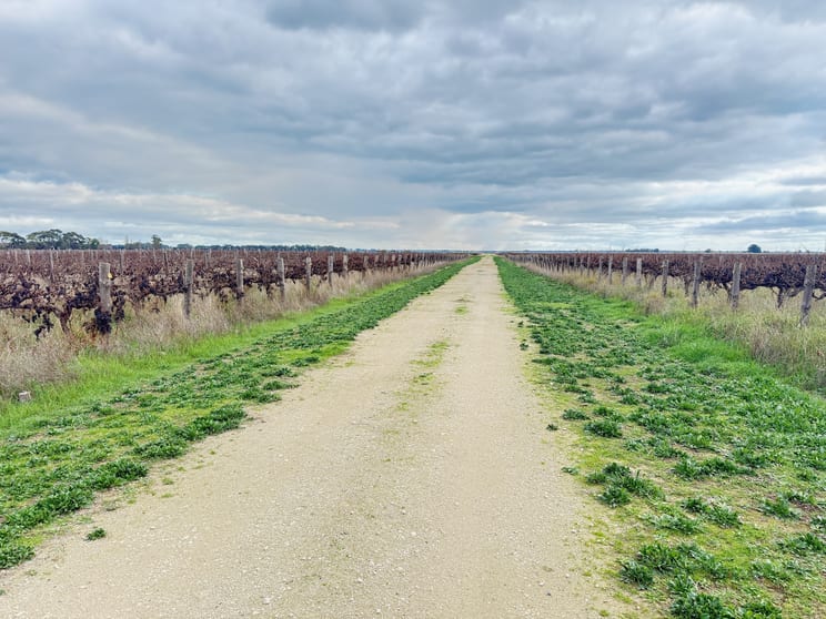 Click to view all images Lot 2/322 Giles Rd Coonawarra SA 5263 - Image 1