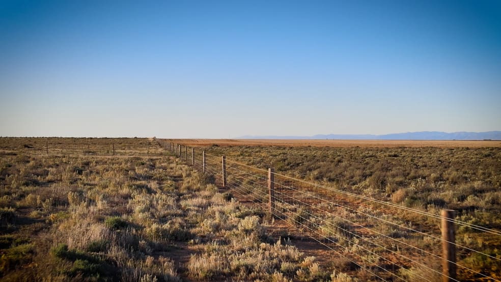 2521 Davis Rd Port Davis SA 5540 - Image 3