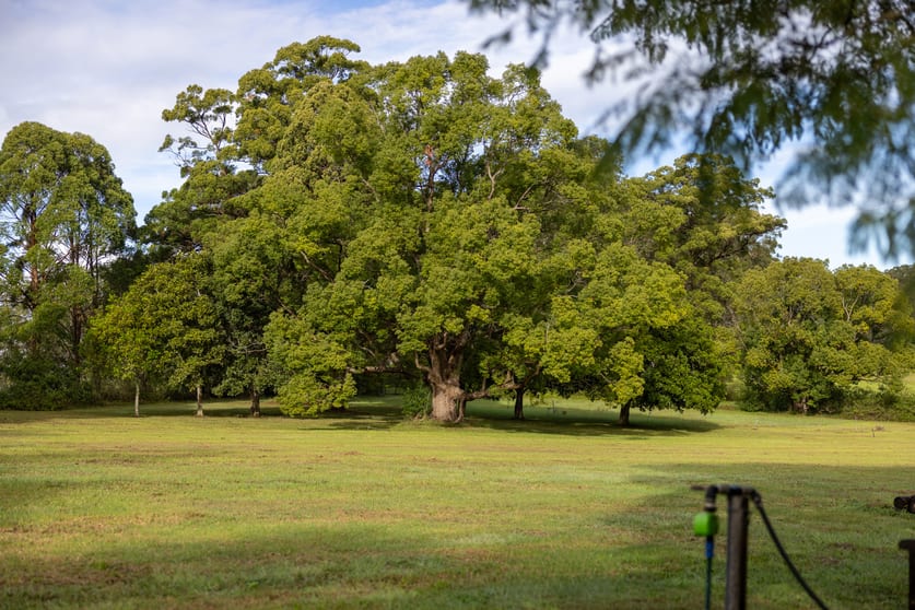 Click to view all images 440 Coralville Road Coralville NSW 2443 - Image 3