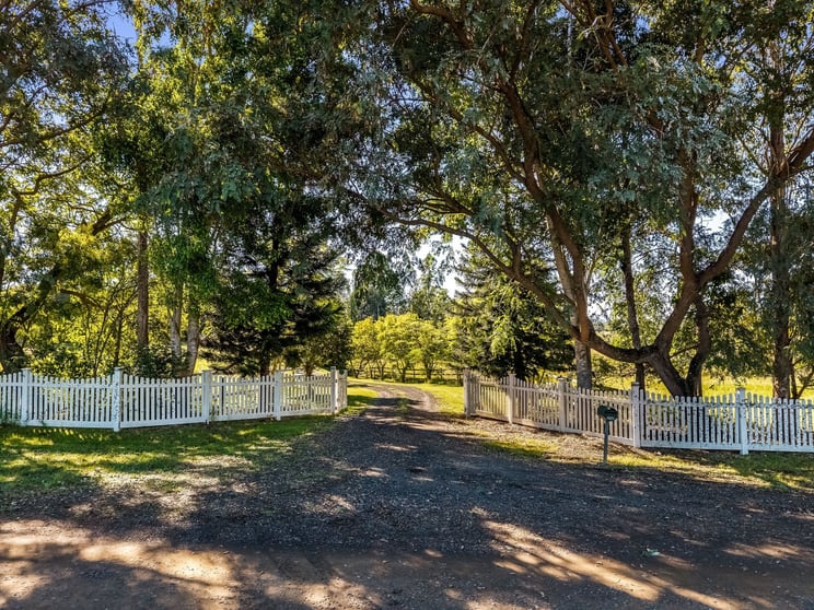 250 Upper Stratheden Road Casino NSW 2470 - Image 3