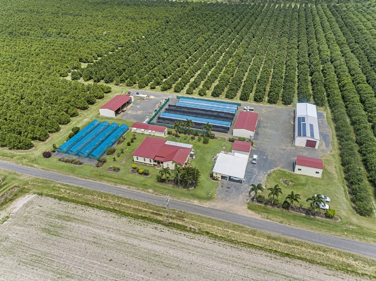 Click to view all images Meadowvale QLD 4670 - Image 3
