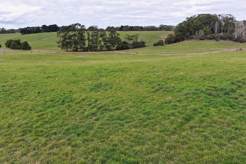Click to view all images 699 Mengha Road Forest TAS 7330 - Image 2