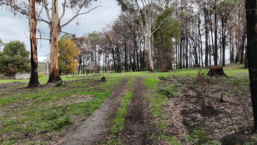 Click to view all images 95 Wonga Road Kawarren VIC 3249 - Image 2