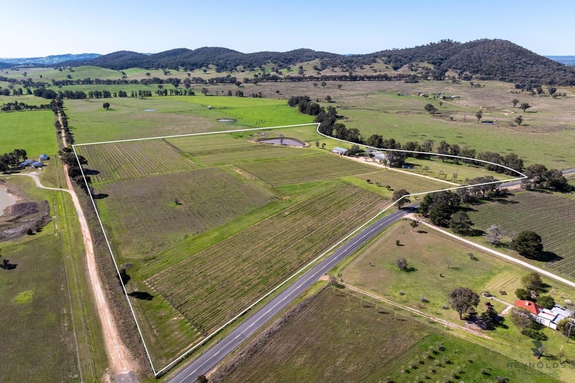 548 Hill End Road Mudgee NSW 2850 - Image 3