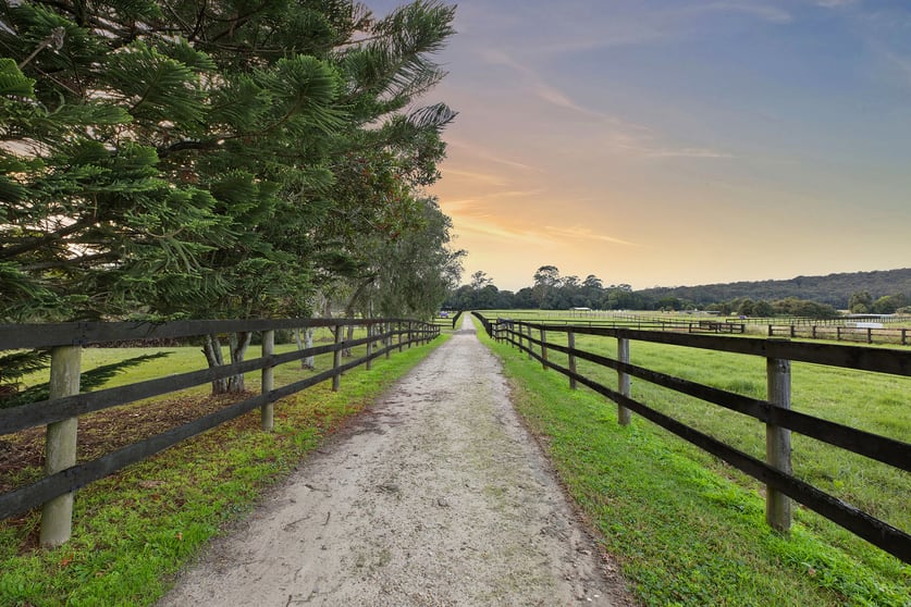 319 Jilliby Road Jilliby NSW 2259 - Image 3