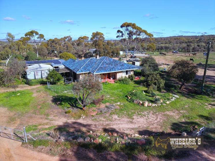 38 Avoca Road (Morbinning) Beverley WA 6304 - Image 2