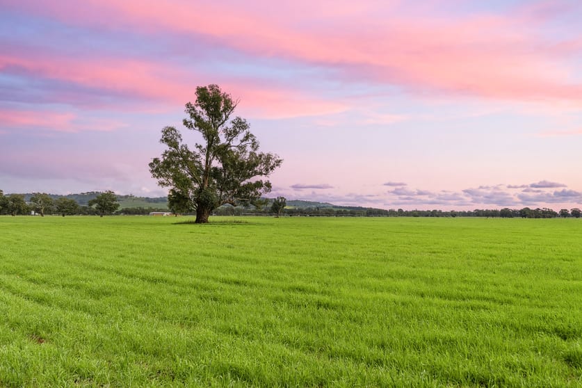 Click to view all images 453 Old Narrandera Road Gobbagombalin NSW 2650 - Image 2