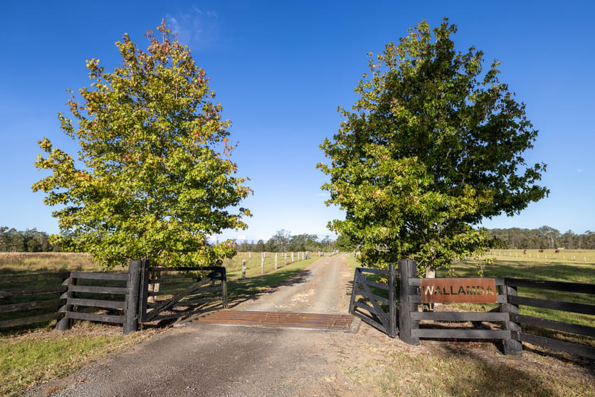 Click to view all images 14112 Pacific Highway Nabiac NSW 2312 - Image 3