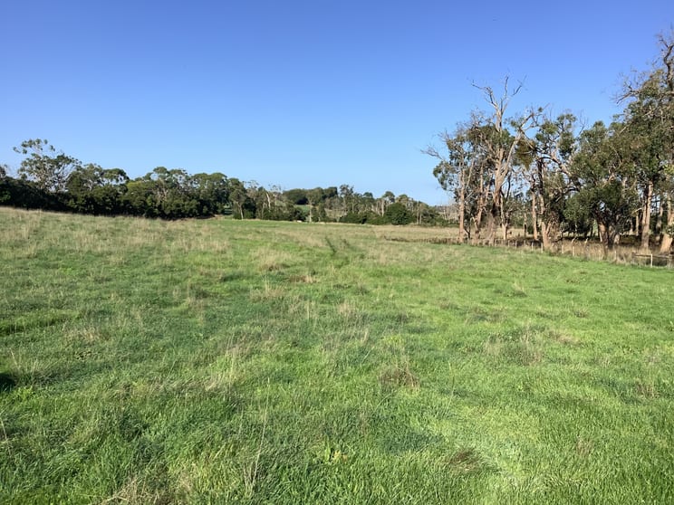 Click to view all images . Winnap-Nelson Road Drik Drik VIC 3304 - Image 1