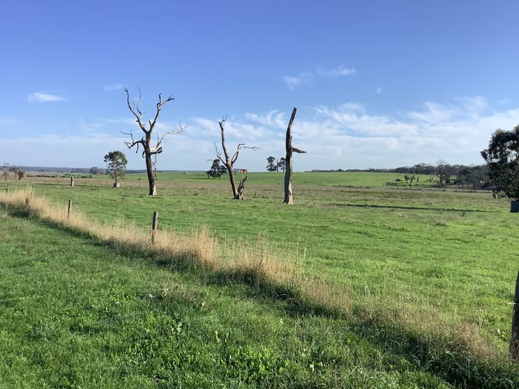 Click to view all images . Winnap-Nelson Road Drik Drik VIC 3304 - Image 2