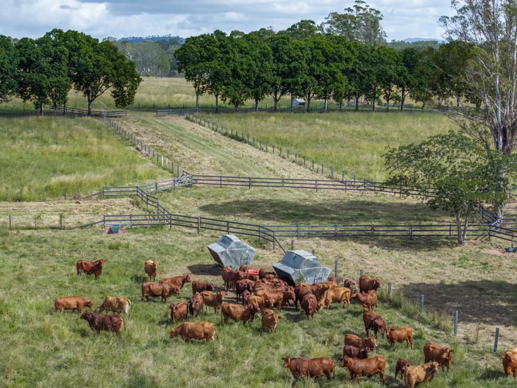 Click to view all images 415-433 Anderleigh Road Gunalda QLD 4570 - Image 3