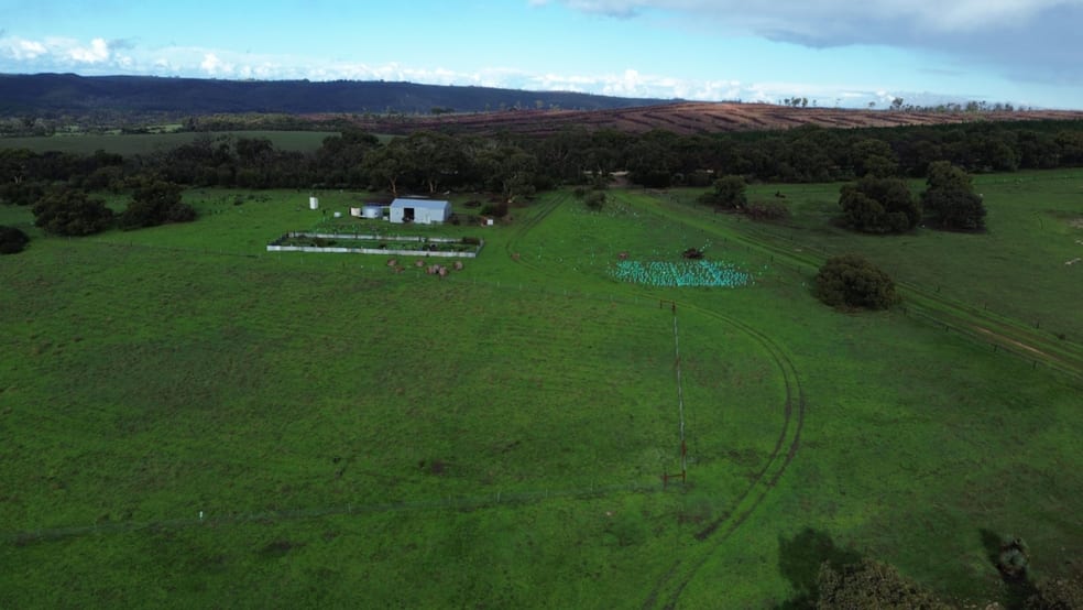 Click to view all images Lot 51 Bark Hut Road Cassini SA 5223 - Image 3