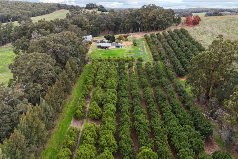 Click to view all images 320 Mitchell Road Newlands WA 6251 - Image 1