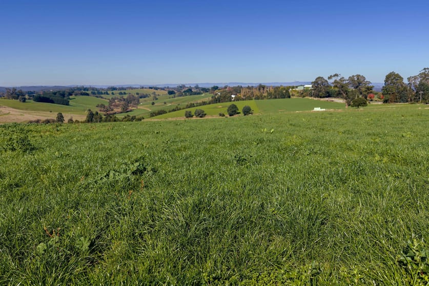 Click to view all images 2230 Main Neerim Road Neerim South VIC 3831 - Image 2