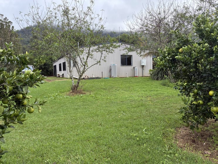 Click to view all images 1688 Collins Creek Road Kyogle NSW 2474 - Image 1