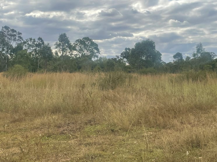 Click to view all images 1467 Tablelands Rd Wooderson QLD 4680 - Image 3
